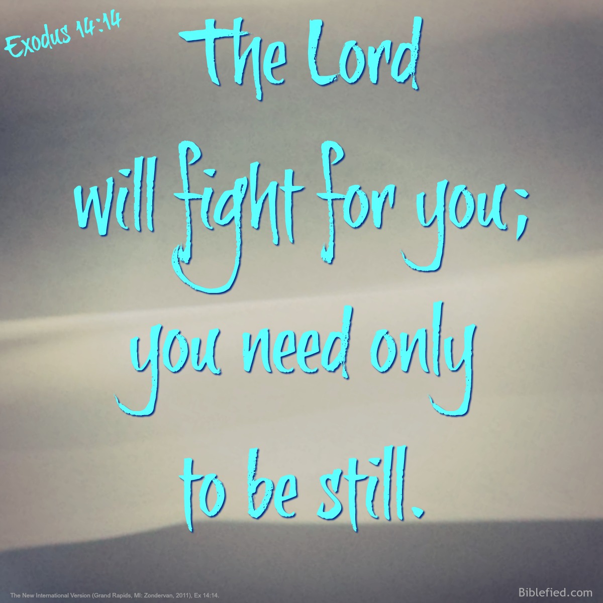 Exodus 14:14